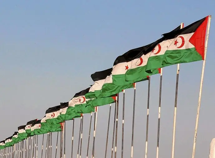 Banderas saharauis en Tifariti, en los territorios liberados del S&aacute;hara Occidental. - EFE