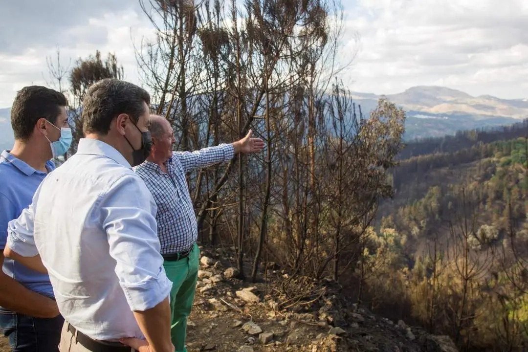 El presidente de la Junta de Andaluc&iacute;a, Juanma Moreno, visita la zona del incendio de Sierra Bermeja. - EFE/&Aacute;lvaro Cabrera
