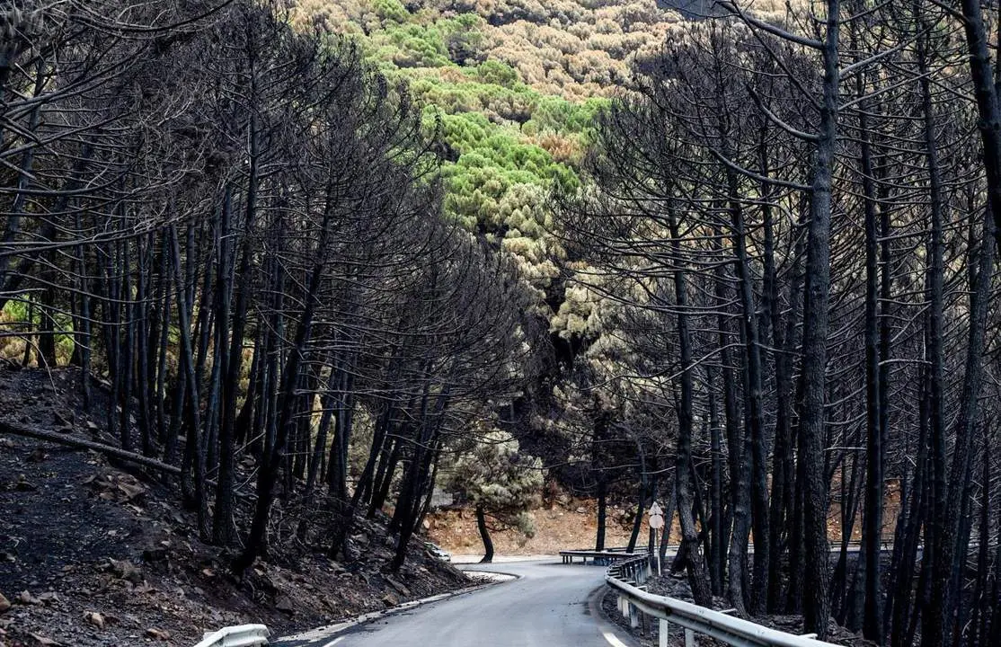 Zonas quemadas en el incendio. - &Aacute;lex Zea/Europa Press