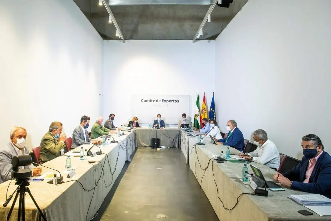 Comit&eacute; de expertos. - EFE