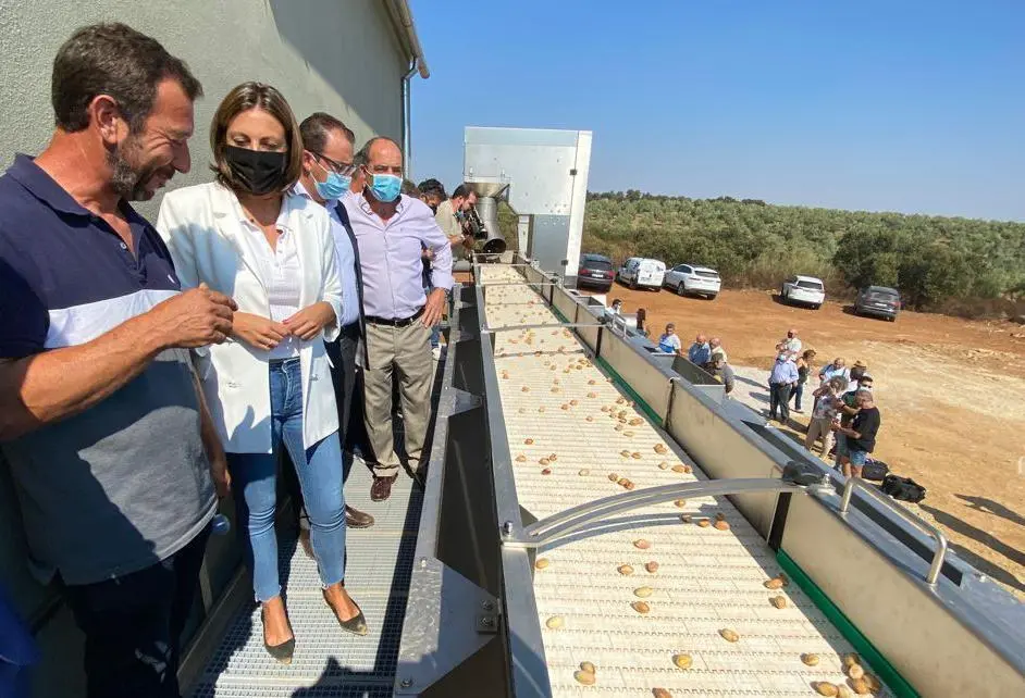 Planta procesa de pistachos en Ronda. - Ayto. Ronda