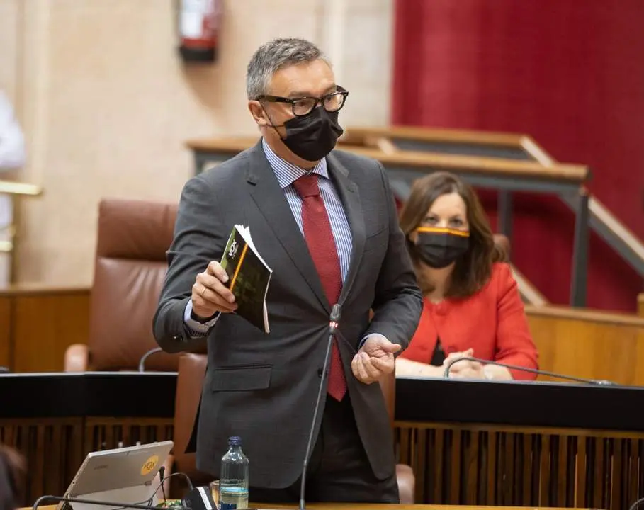 El portavoz parlamentario de Vox Manuel Gavira. - EP