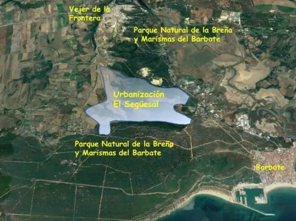 Plano del proyecto del Seg&uuml;esal. - A.I.