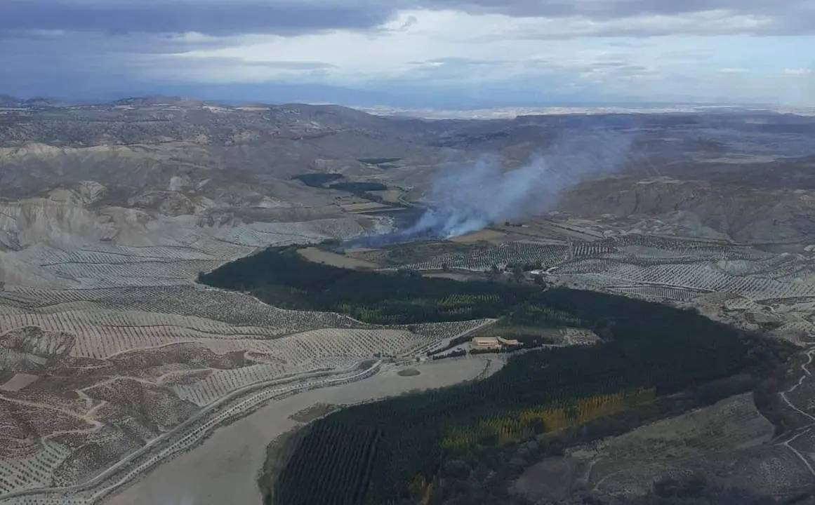 Incendio forestal en Fonelas. - Infoca