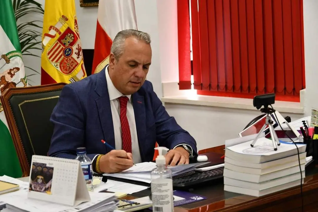 Ruiz Boix, durante la sesi&oacute;n telem&aacute;tica de pleno. - AI