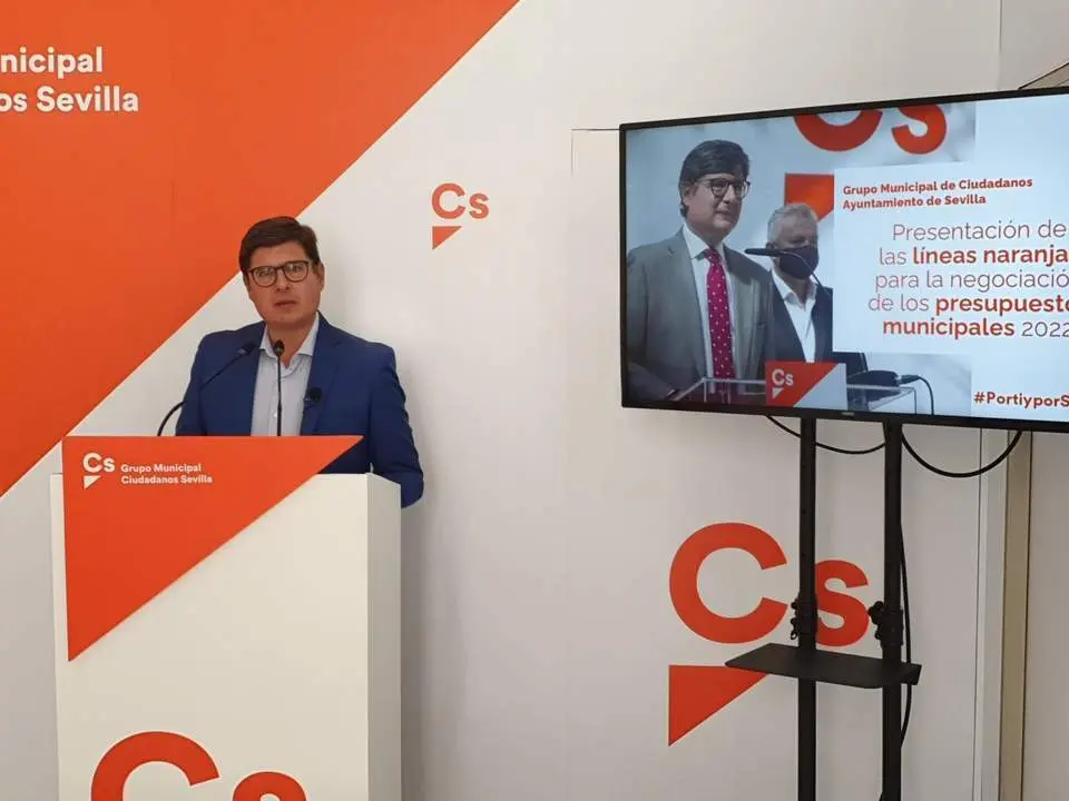El portavoz de Cs, &Aacute;lvaro Pimentel. - Cs