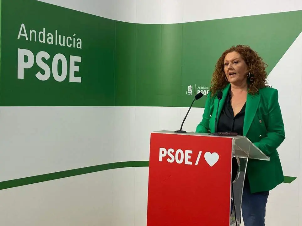 Araceli Maese en rueda de prensa - PSOE