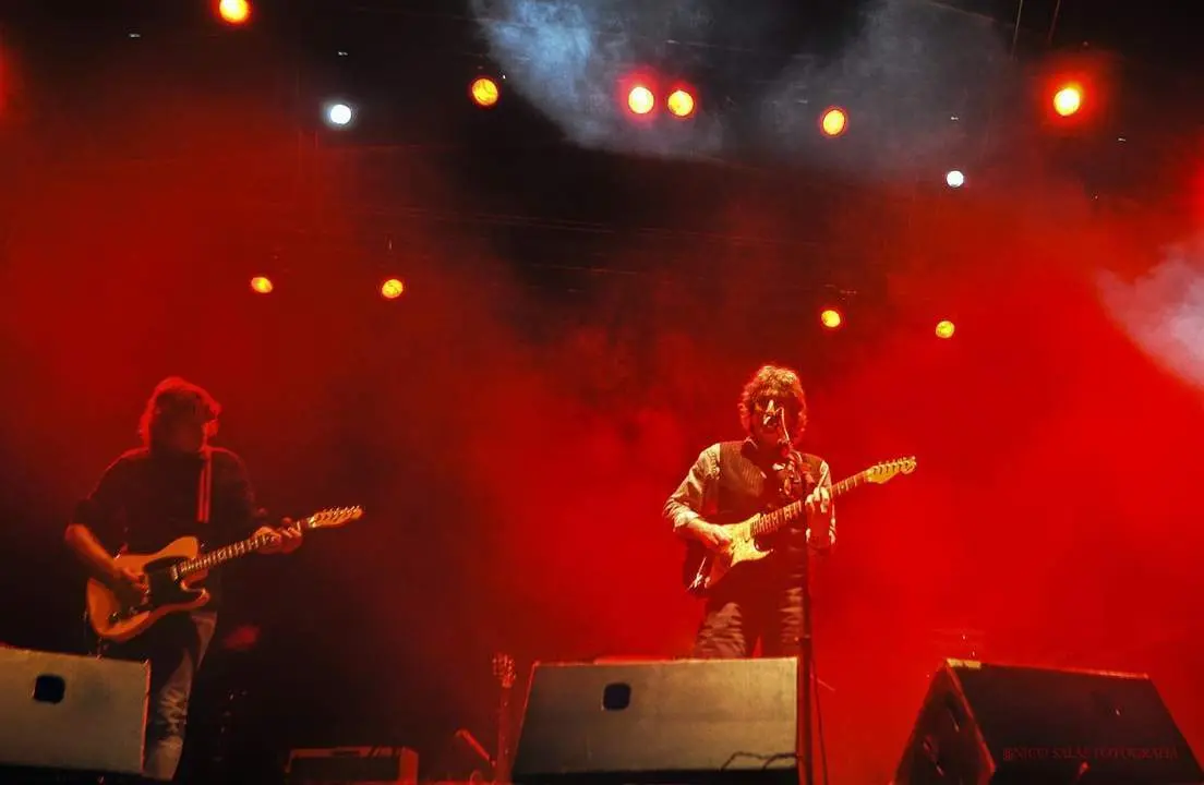 P&aacute;jaro en concierto. - Nico Salas