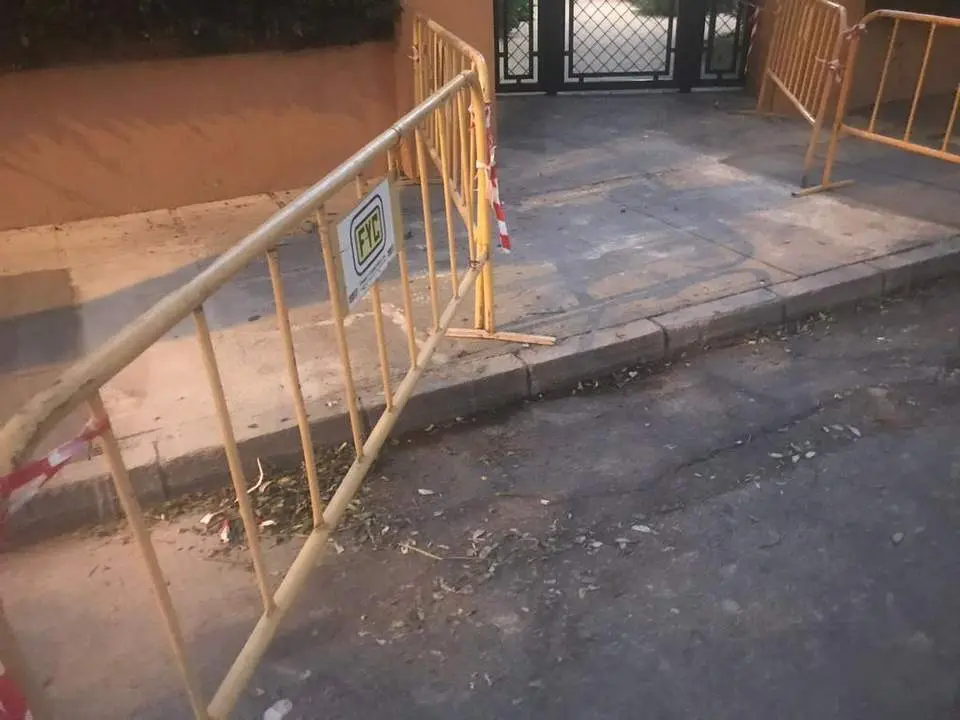 Leocadia benavente. - VIVA