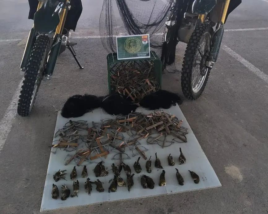 Las perchas incautadas por el Seprona - Guardia Civil