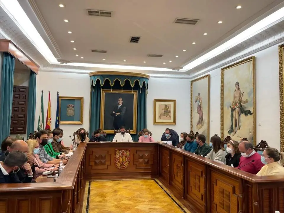 Un momento del pleno municipal.  - 
