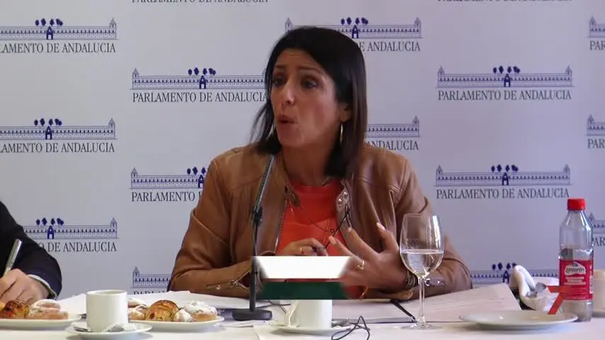 El Parlamento prev&eacute; multar a los comparecientes que no declaren