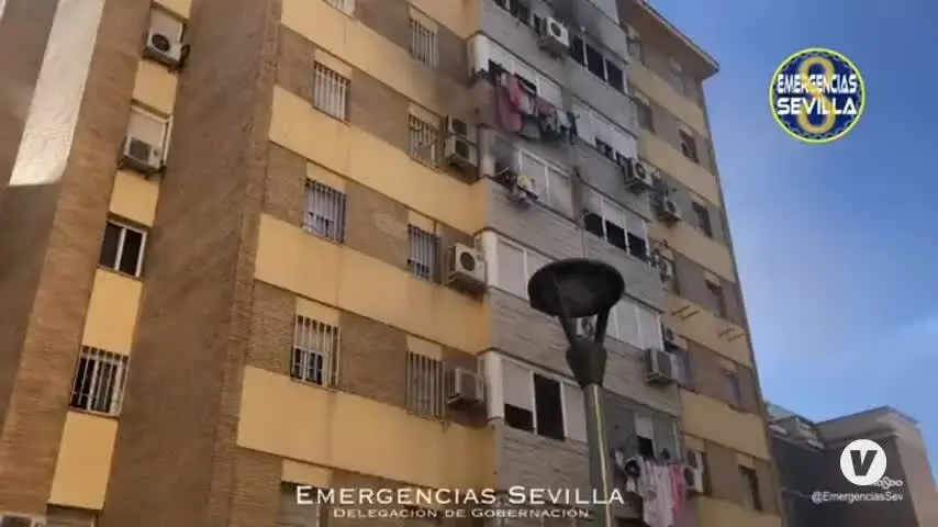 Decomisadas 340 plantas de marihuana tras el incendio en el Pol&iacute;gono Sur de Sevilla