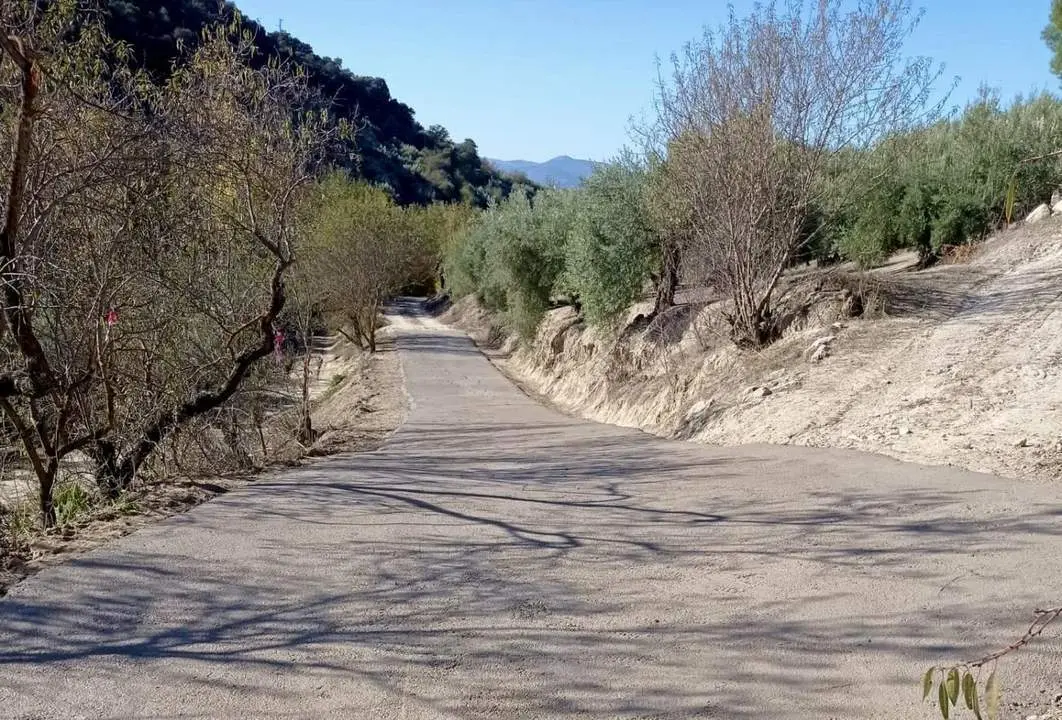 Uno de los caminos rurales donde se ha intervenido.  - 