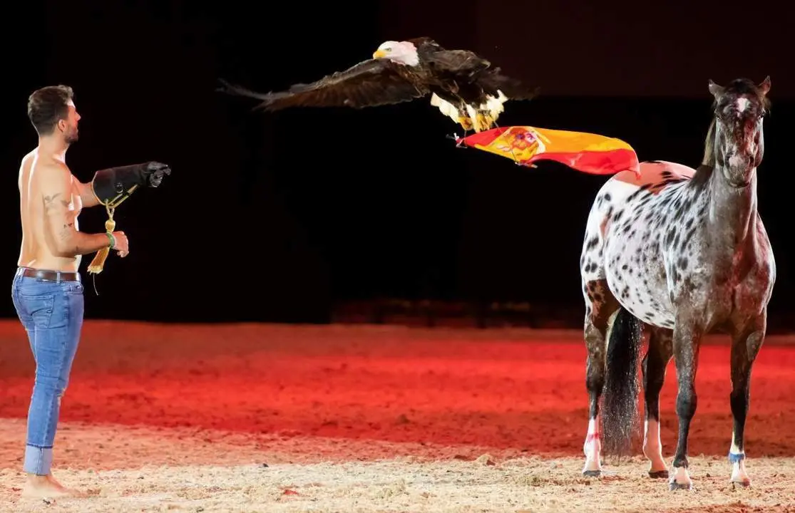 Un momento del espect&aacute;culo ecuestre del s&aacute;bado en Sicab. - Efe