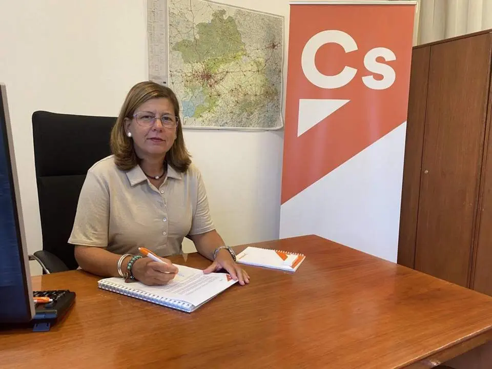 Carmen Santa Mar&iacute;a, portavoz de Cs en la Diputaci&oacute;n.  - CS PROVINCIAL