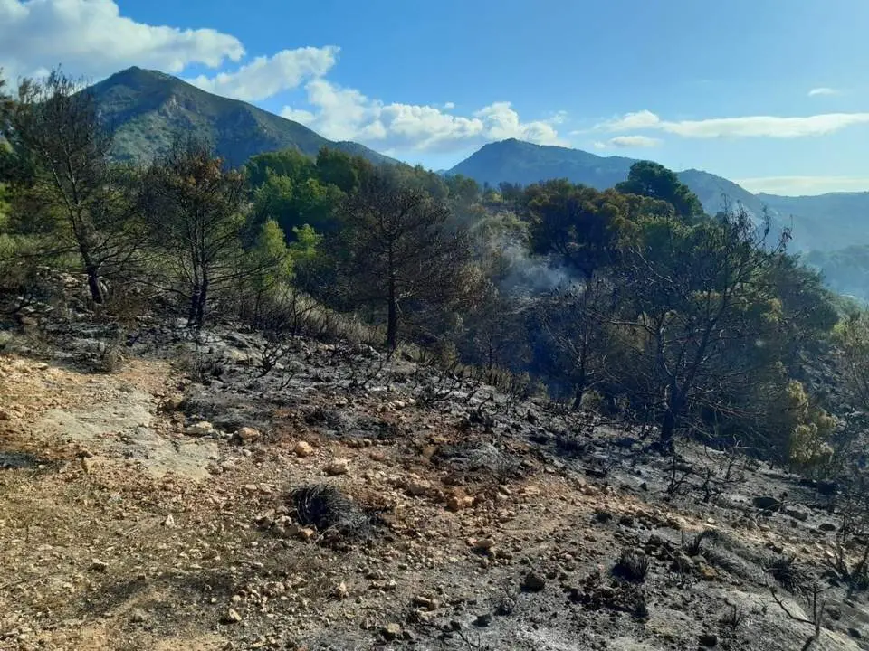 Imagen del terreno afectado por el incendio. - Plan INFOCA
