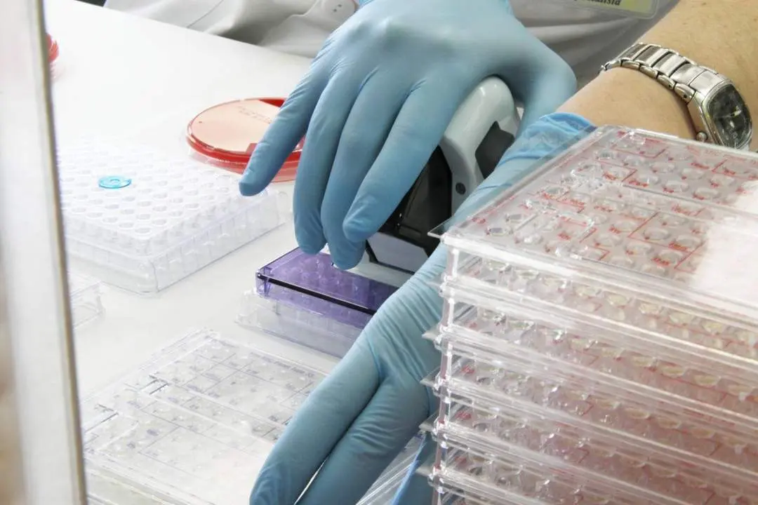 Laboratorio. | Europa Press.