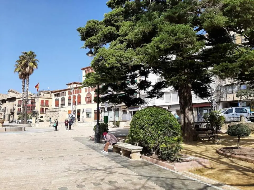Paseo de los &Aacute;lamos.  - JJM