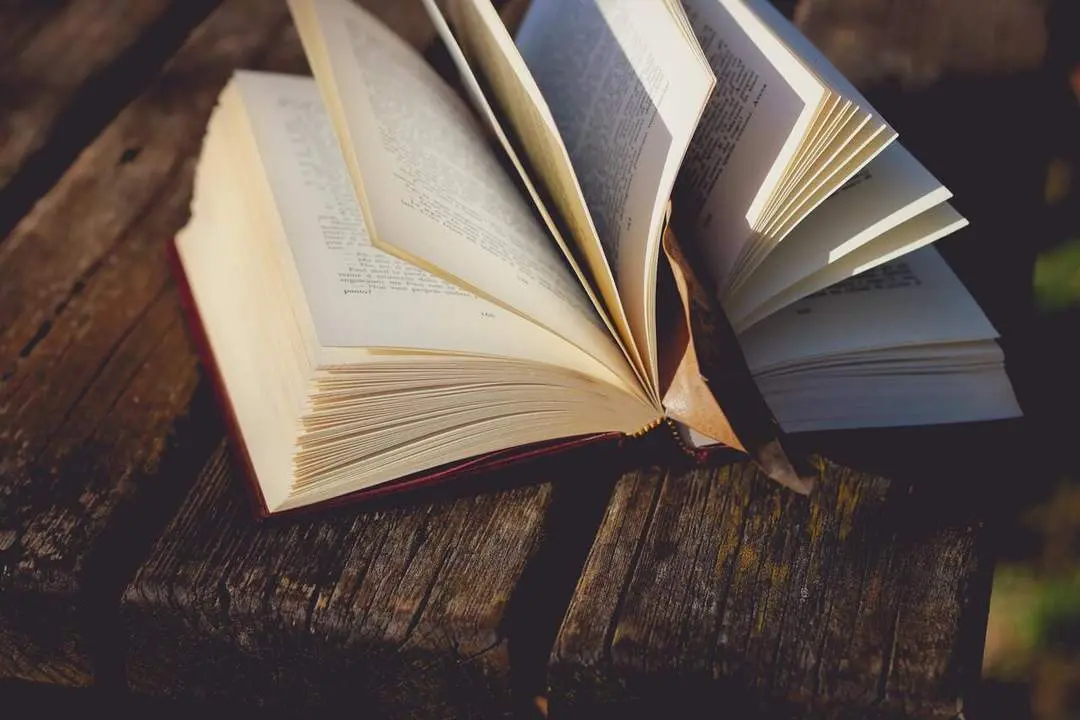 Lectura. - 