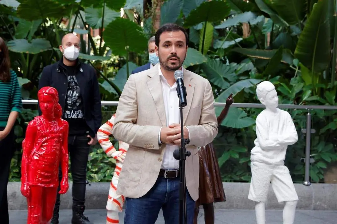 Alberto Garz&oacute;n. - EFE