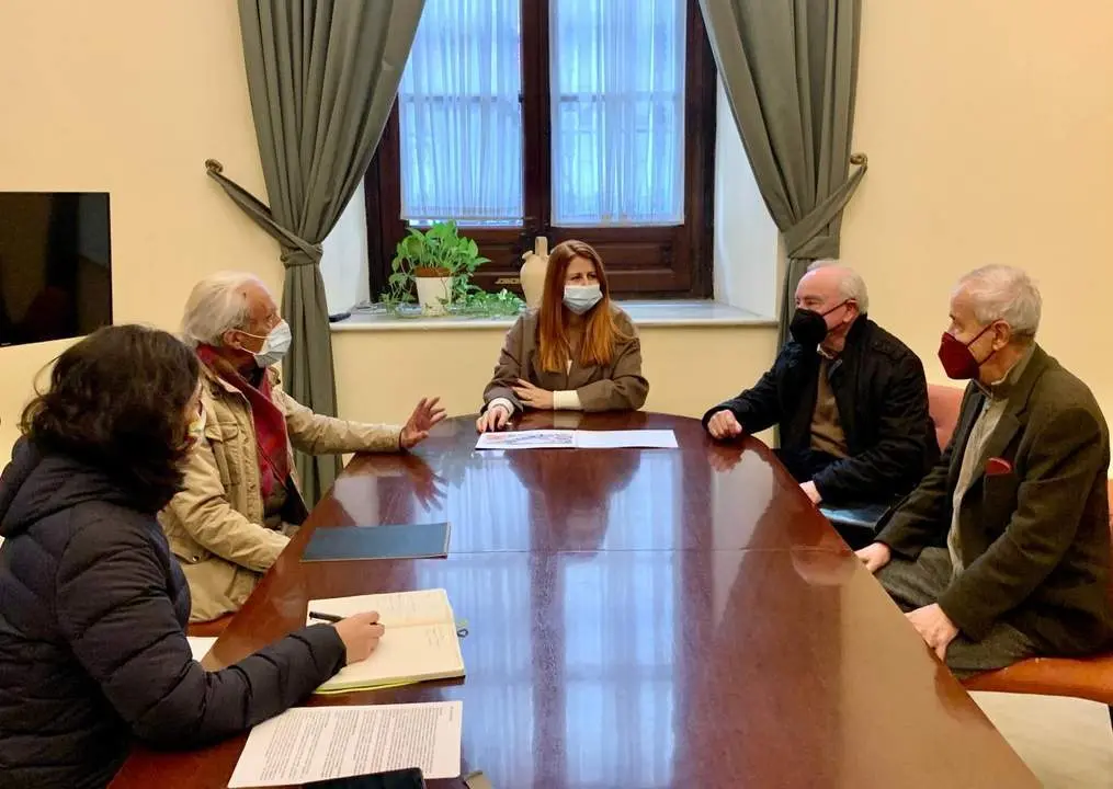 La secretaria general de Podemos Sevilla, Susana Serrano, se ha reunido con los colectivos y arquitectos que han presentado la denuncia contra la nueva residencia. - PODEMOS SEVILLA
