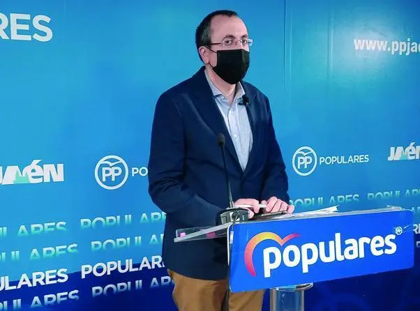 El portavoz del Grupo Municipal del PP, Manuel Bonilla.    - Viva Ja&eacute;n.