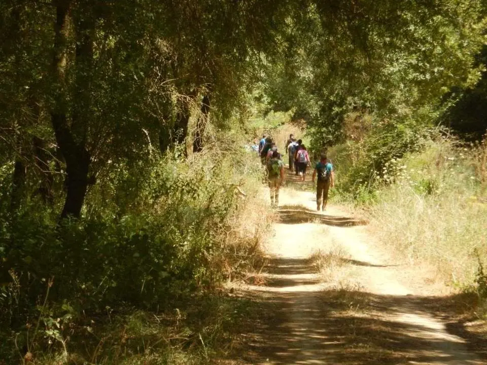 Jornada de 'trekking' realizada en el Sendero Estaciones del Hu&eacute;znar. - DIPUTACI&Oacute;N DE SEVILLA