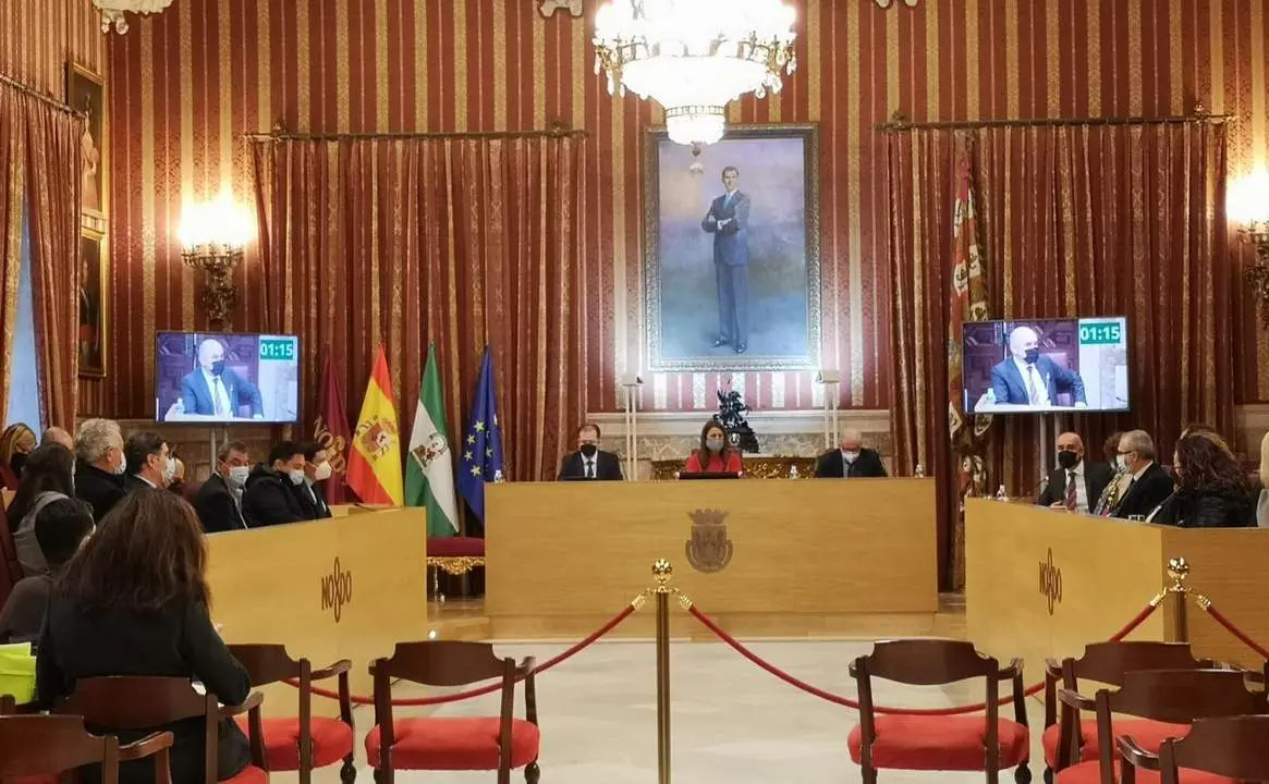 Pleno municipal. - Archivo