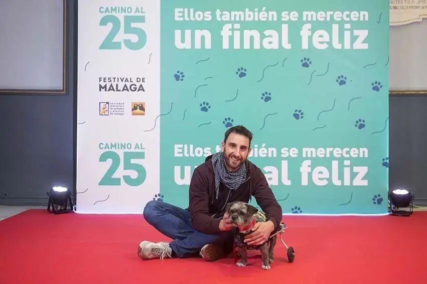 Campa&ntilde;a 'Un final feliz', con el actor malague&ntilde;o Dani Rovira. - Festival de Cine