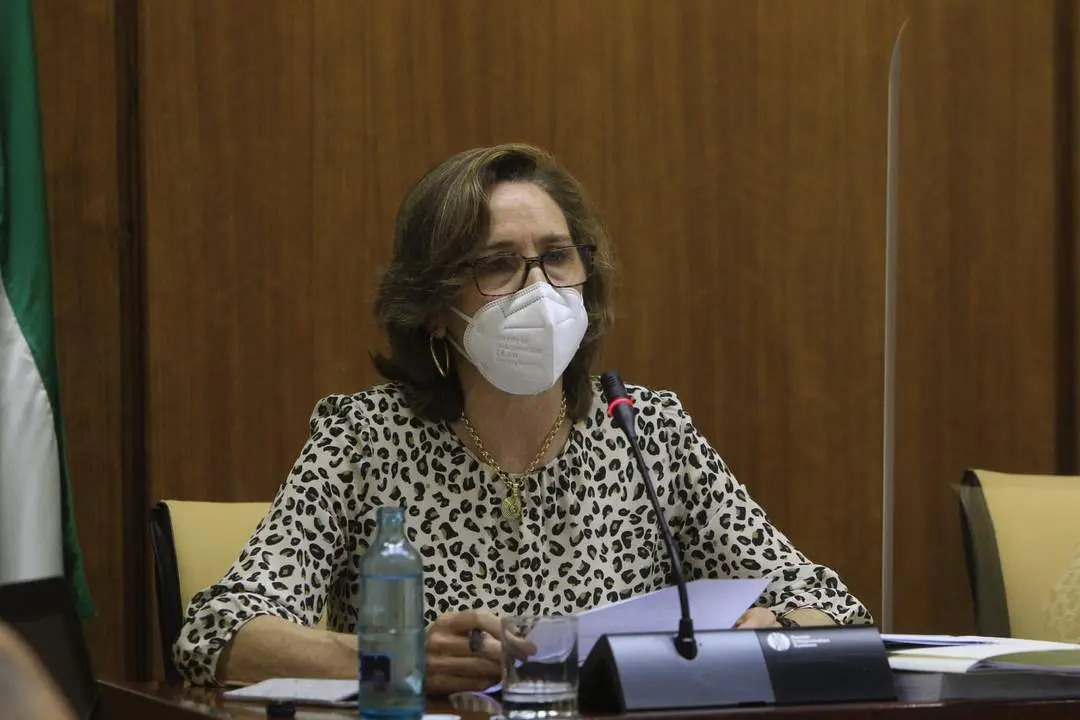 La presidenta de la C&aacute;mara de Cuentas, Carmen N&uacute;&ntilde;ez, durante su comparecencia parlamentaria. - Viva.