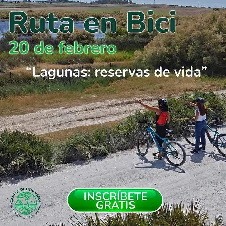 Ruta guiada en bici.  - Viva.