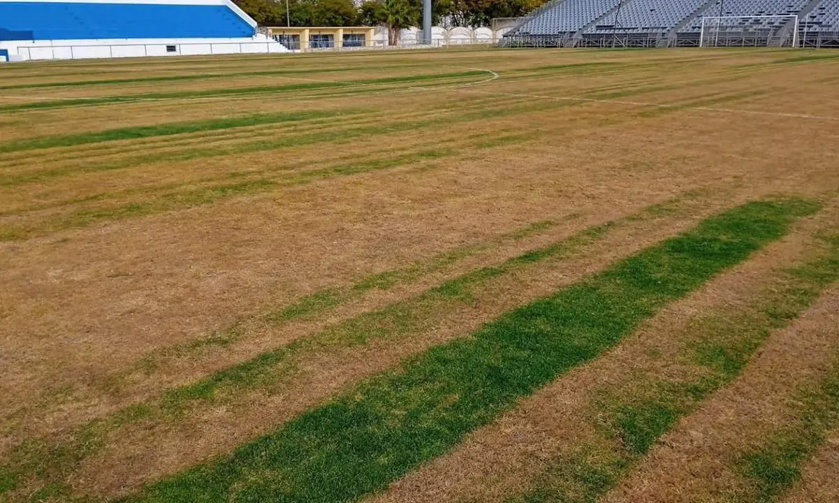 C&eacute;sped del Estadio PEdro S. Garrido. - Jerez Industrial