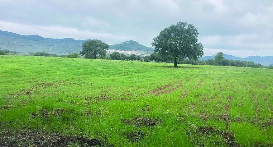 Tierra de Ja&eacute;n - VIVA JA&Eacute;N