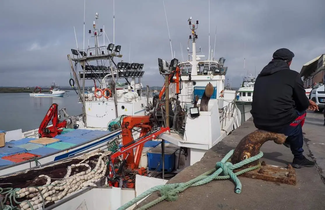 Barcos amarrados en Isla Cristina. - JULI&Aacute;N P&Eacute;REZ / EFE