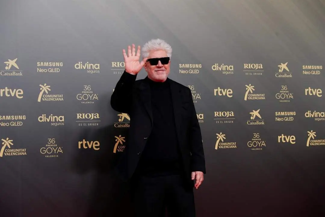 El director Pedro Almod&oacute;var posa en la alfombra roja. - EFE