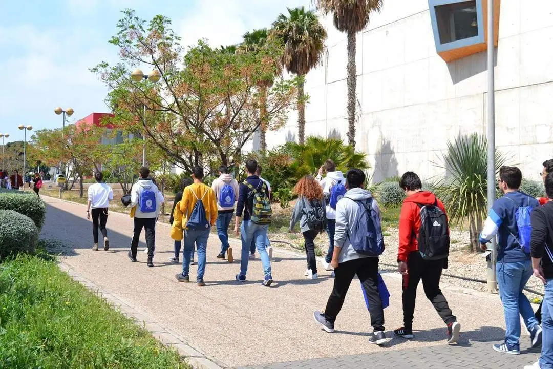 Campus de la Universidad de Almer&iacute;a. - ual
