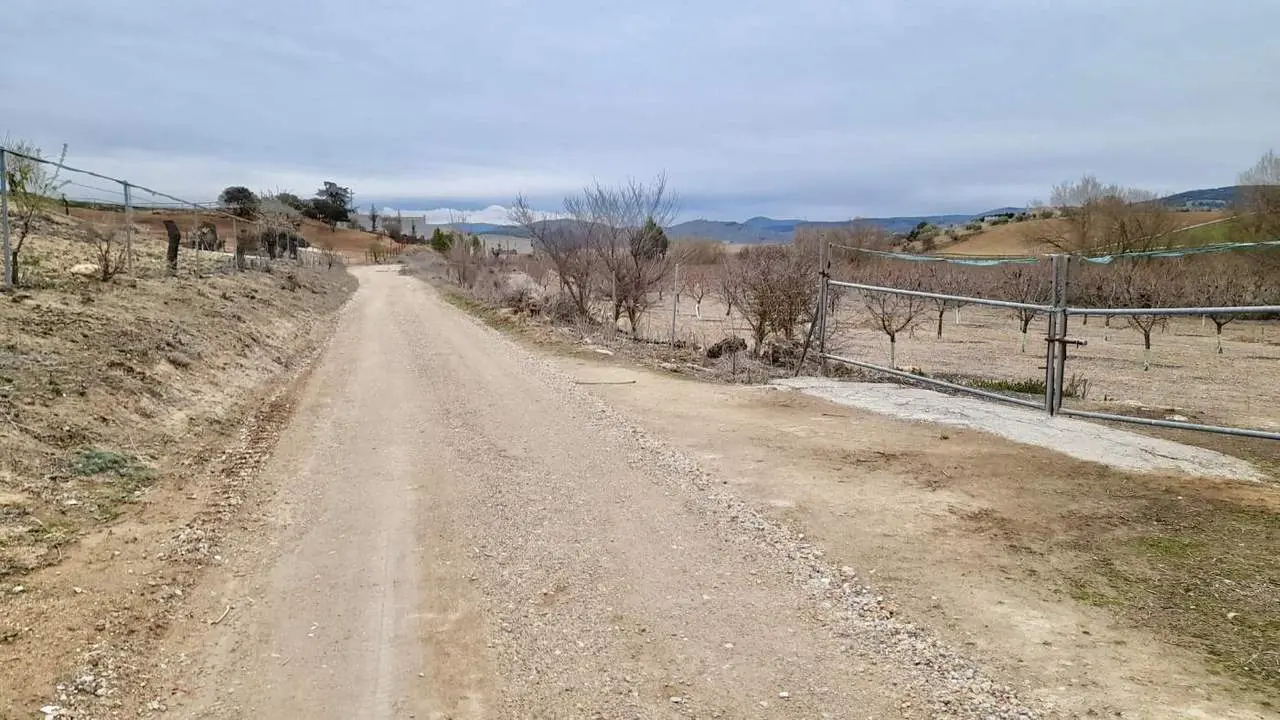 Uno de los caminos sobre los que se ha intervenido.  - 