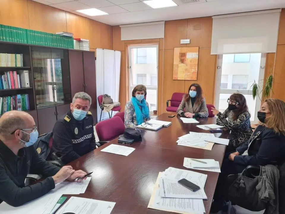 Comisi&oacute;n de seguimiento del protocolo de la Junta de Andaluc&iacute;a y del Ayuntamiento de C&aacute;diz para detectar actividades tur&iacute;sticas ilegales. - AI