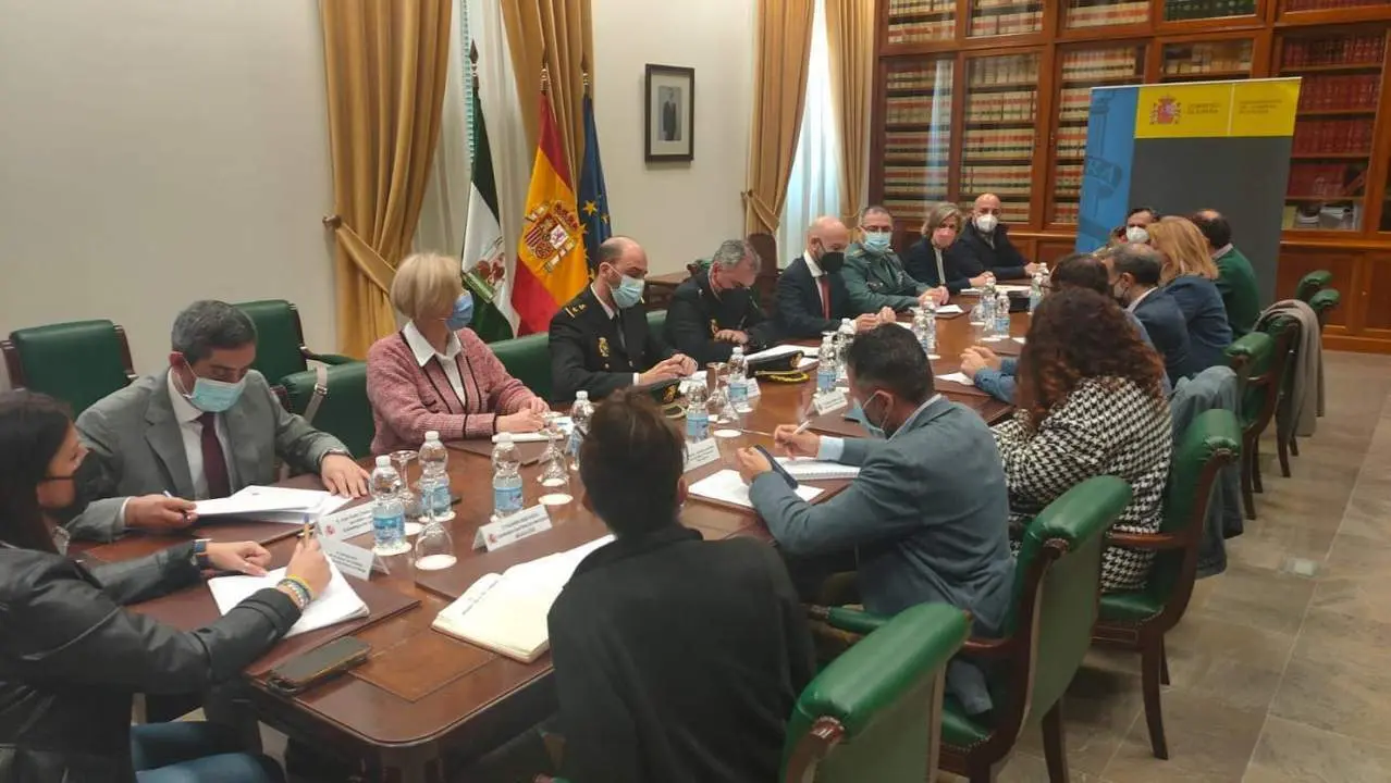 La comisi&oacute;n provincial de coordinaci&oacute;n del Plan Integral de Acogida a desplazados de Ucrania, en una reuni&oacute;n. - Subdelegaci&oacute;n Gob.