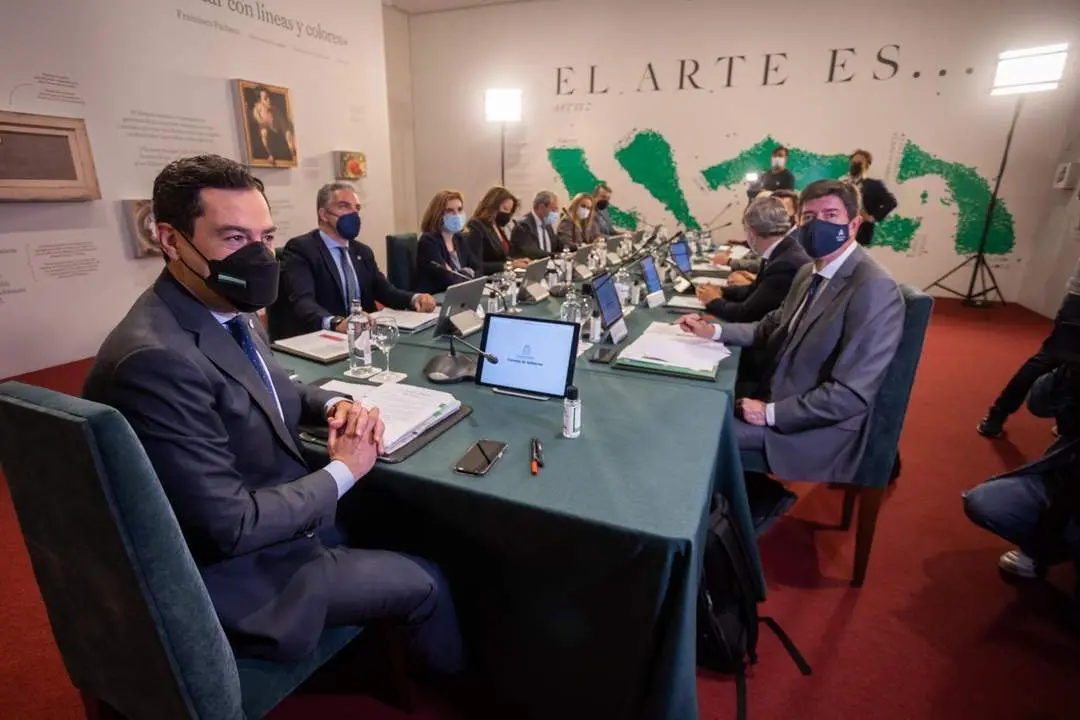 Moreno en Consejo de Gobierno en M&aacute;laga. - Carlos D&iacute;az/EFE