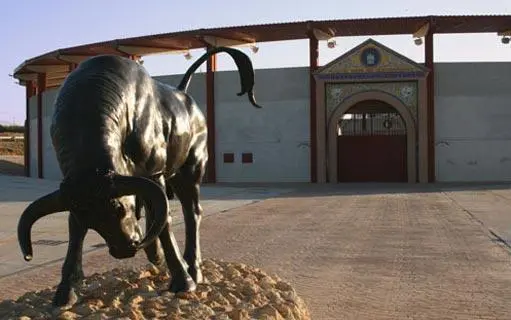 Plaza de toros de Palos de la Frontera. - 