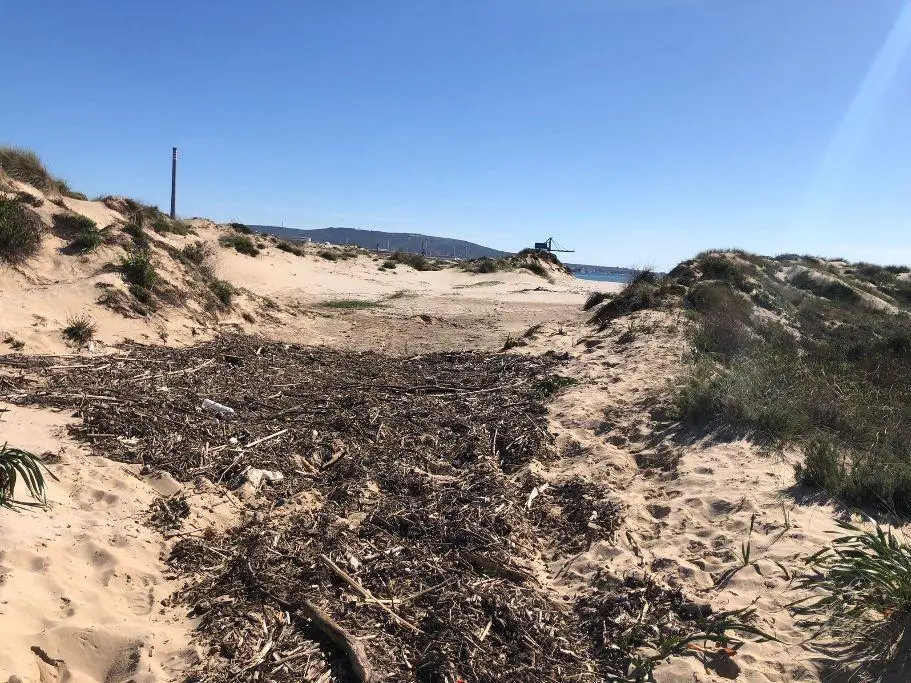 La marea alcanza las marismas de Palmones. - AI