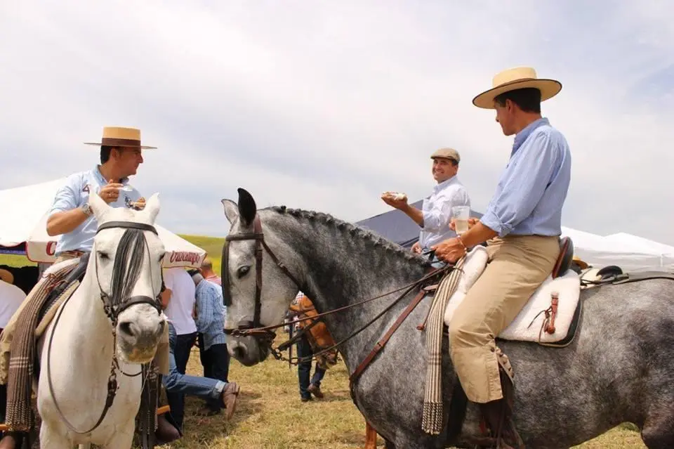 Fiesta Cruz de Mayo en Naveros. - 