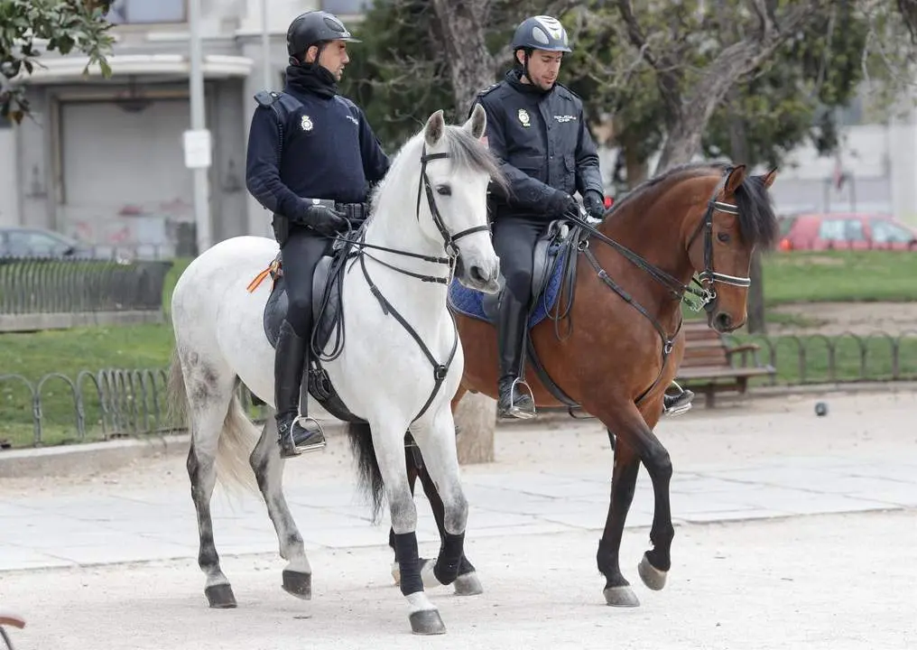 Recursos de Polic&iacute;a Nacional, agente, agentes, polic&iacute;a, polic&iacute;as, caballer&iacute;a de la Polic&iacute;a Nacional, polic&iacute;a a caballo, polic&iacute;as a caballo. - EUROPA PRESS