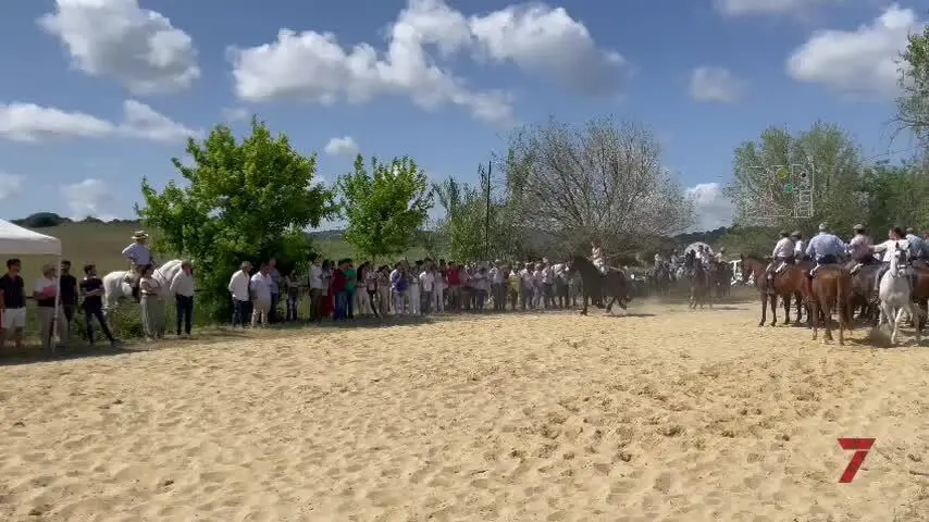 El caballo, protagonista absoluta de las fiestas de la Cruz de Mayo de Naveros en Vejer