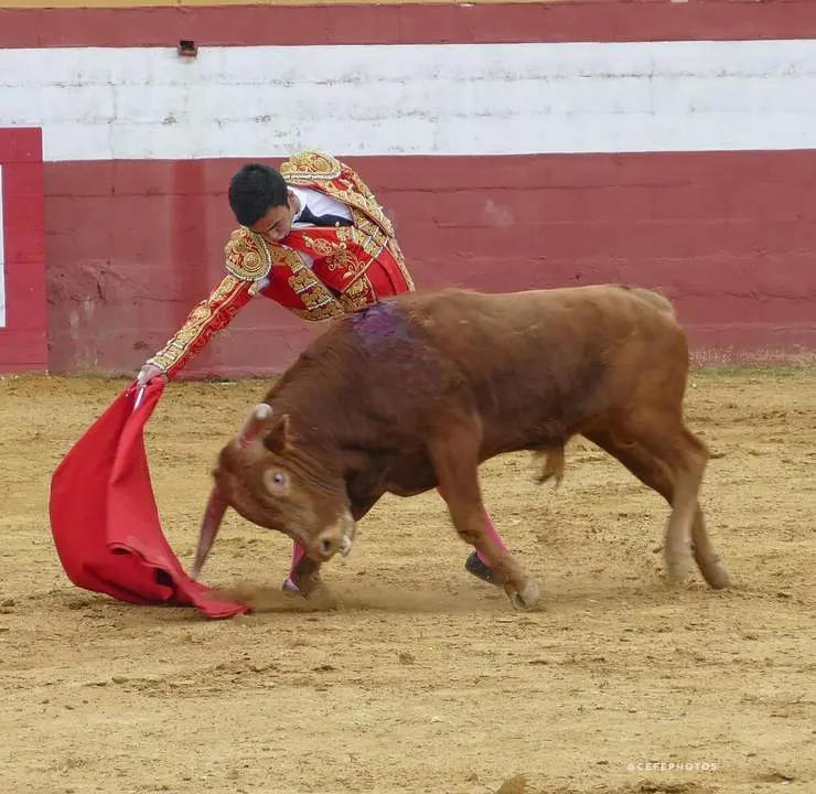 &Aacute;lvaro Dom&iacute;nguez 'Cumbre&ntilde;o'. - Cefephotos