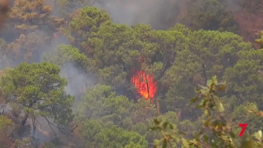 El regreso del monstruo: En Pujerra la situaci&oacute;n del incendio es bastante mejor