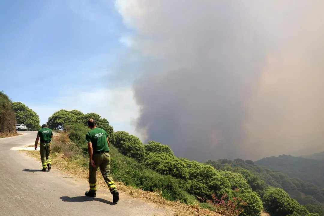 M&aacute;s de 130 efectivos siguen trabajando en acabar con las llamas en Sierra Bermeja. - &Aacute;LEX ZEA/E.P.