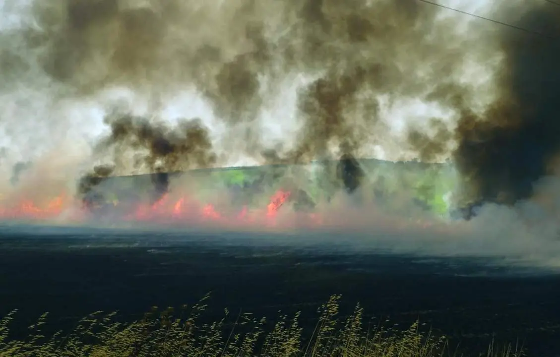 Una imagen del incendio en Mesas de Santa Rosa del pasado domingo.  - Consorcio Provincial. 